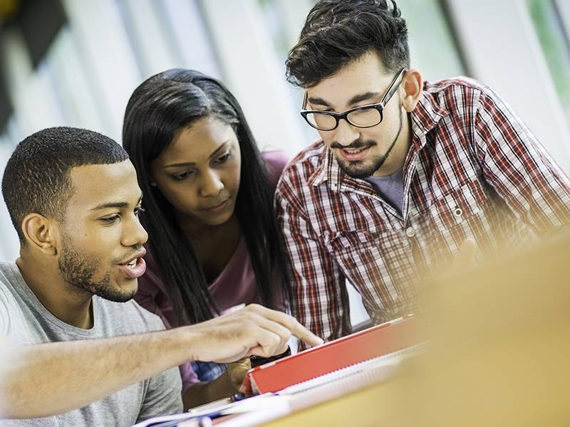 La Importancia de la Preparación Preuniversitaria